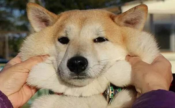 抄送男性友人：不护肤≠MAN