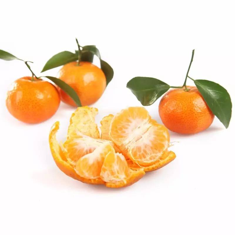 今日关注｜您好我叫从化，这是我的最新简历