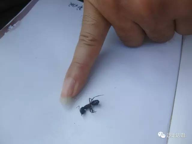 印度看病大师,印度医生看病视频