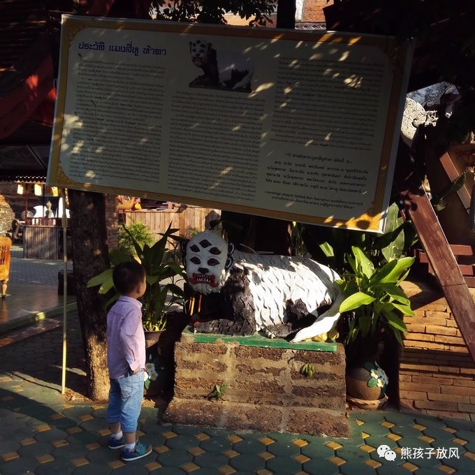 能在异国被警察抓也没谁了吧？这是我的清迈，和你去的不一样！