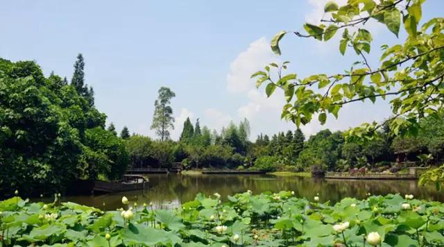 成都海棠花景区,西南最大的海棠花基地在哪里