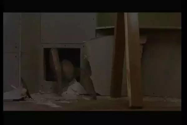 这是你们要的大长腿，备好纸巾，准备上下其手吧