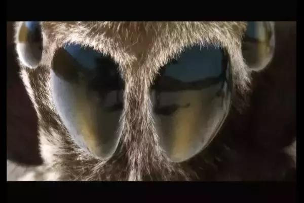 这是你们要的大长腿，备好纸巾，准备上下其手吧