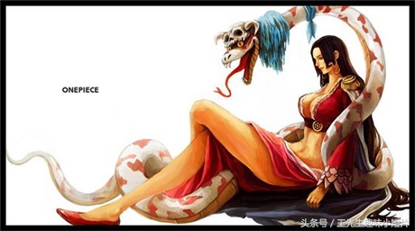 海贼王草帽团变乔巴,海贼王乔巴假扮船长