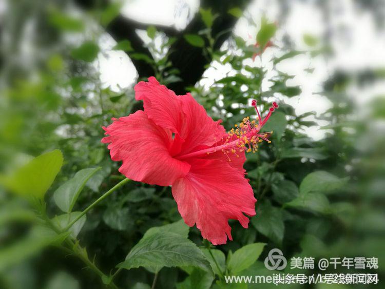 永远的余子店——文/刘宏冰