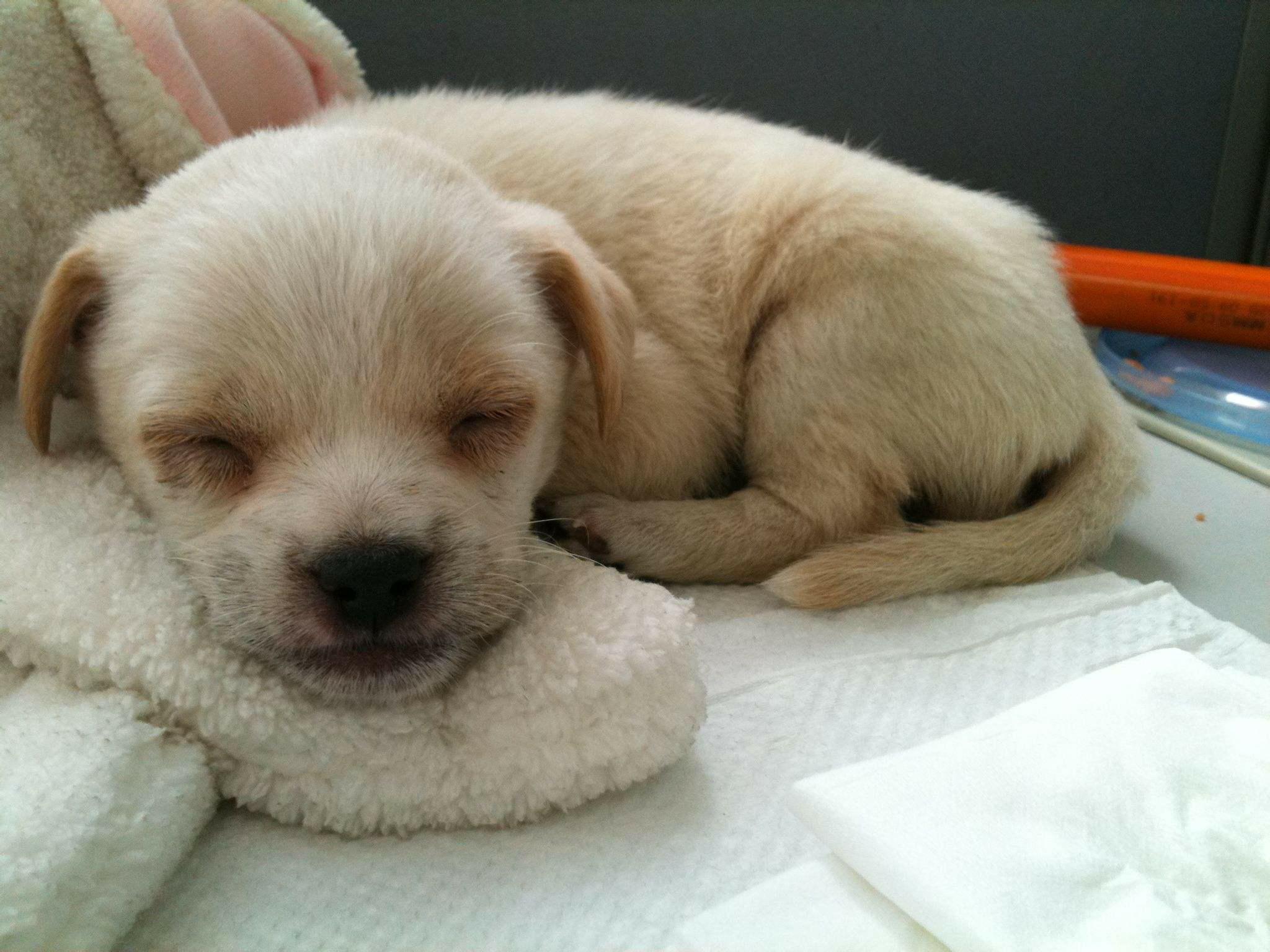 缁欏瀛愬悆杈ｆ缁撴灉瀛╁瓙鍚愯,澶т汉鍠傚皬瀛╁悆杈ｆ缁撴灉灏忓鍚愯