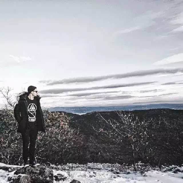 万人迷“加拿大鹅”要上市,揭秘凭什么这些老树能开花