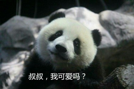 抱大腿暴富后续,抱大腿走上人生巅峰