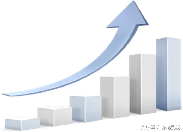 进口宠物食品moa,进口宠物粮品牌发展现状