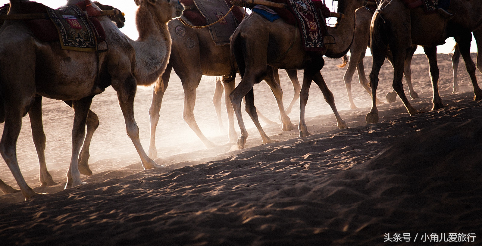 2015，七月的行迹——自驾青甘宁（九）甘肃，敦煌