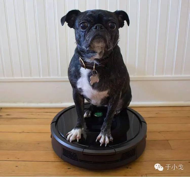 过年什么礼物给父母,过年礼物哪些比较好看