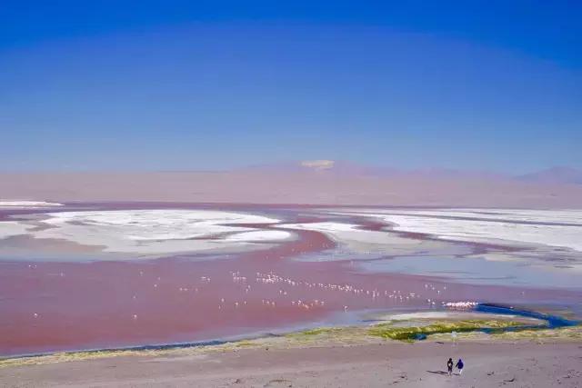 这才是旅行的样子,从亚洲至南美洲,他比我们多了点勇气和决心
