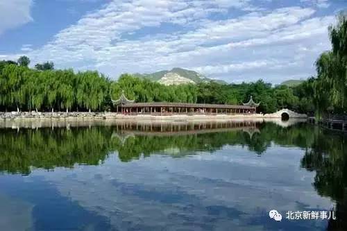 北京最美赏花公园在哪,北京赏花公园景点推荐