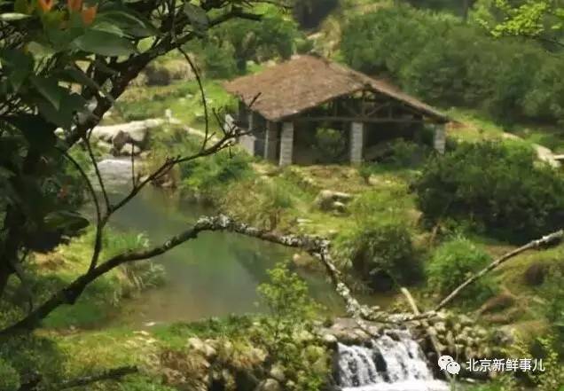 北京最美赏花公园在哪,北京赏花公园景点推荐