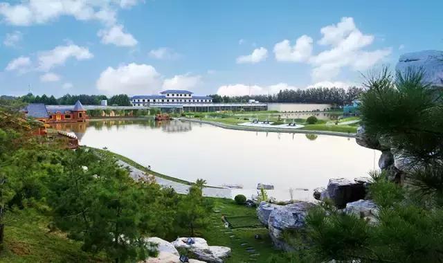 厉害了我的廊坊！这个有着美丽风景和高颜值的城市，变身“网红”