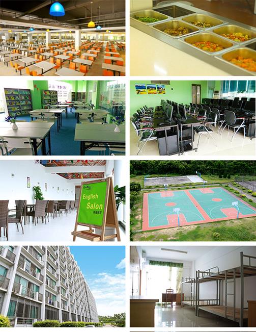 商务英语学些什么课程,零基础学商务英语口语如何入手