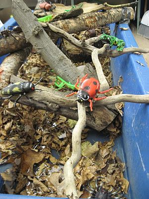 让孩子学会玩，对孩子的一生有多重要