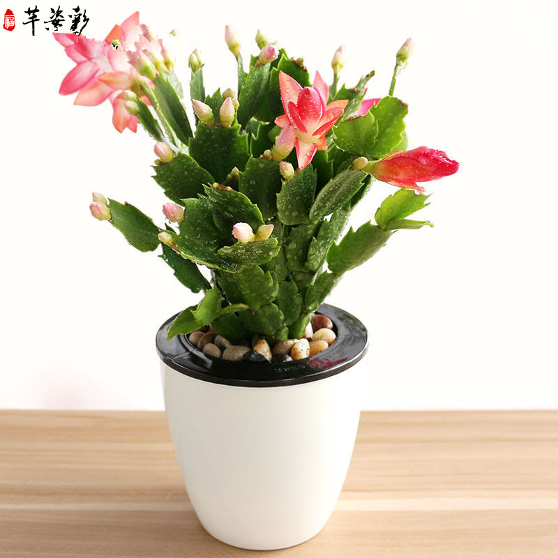 淘宝客如何提高免费流量,如何让淘宝人流量增加