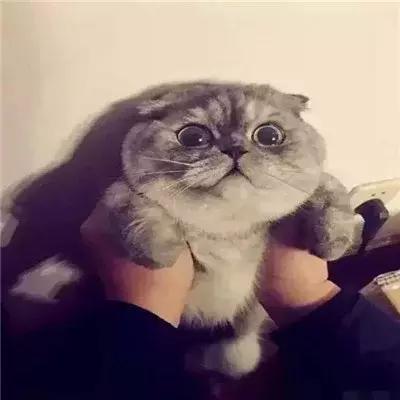 涂上口红好丑,涂上口红就不憔悴了