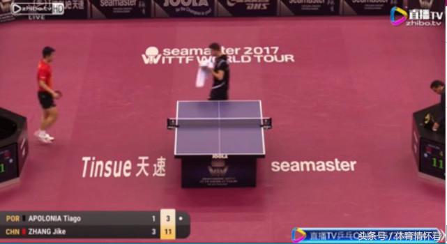 张继科藏獒最新视频,藏獒张继科霸气十足