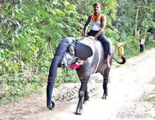 十个让你捧腹的程序员笑话精选,程序员十大经典笑话