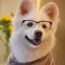 万事屋时光机开启,穿越回去看看一年前的你