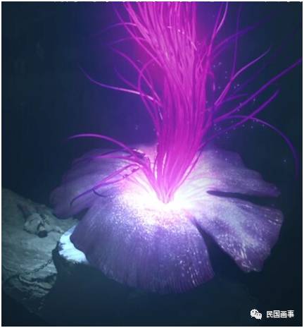 鬼吹灯从墓里盗出过什么,鬼吹灯的墓的凶险