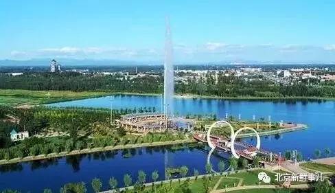 北京赏花踏青自驾游,北京国家森林公园踏青