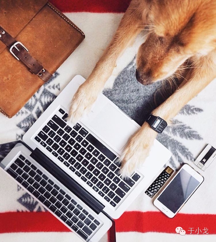 过年什么礼物给父母,过年啥礼物上档次