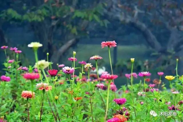 沭阳，没想到你是这样一座城市……