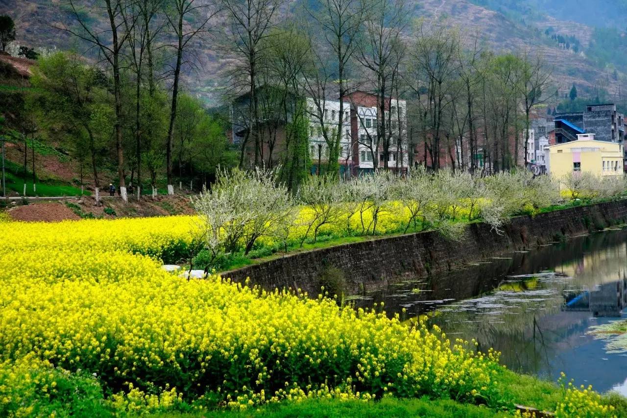 你,为什么离不开石柱!