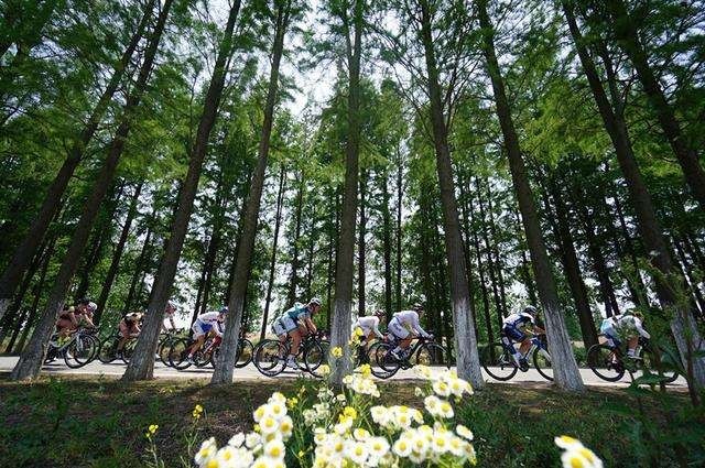 涝渭生态科技岛规划,太湖生态岛建设规划