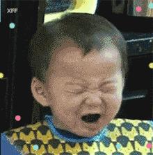 海南榴莲猫山王现在市场价格,猫山王榴莲七月份多少钱