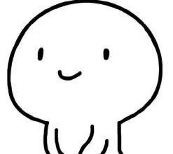 韩国贵妇级品牌,韩国vidivici好用的气垫