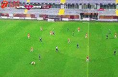 欧洲足球赛球员发挥欠佳，两只拉布拉多看不下去了，闯入球场