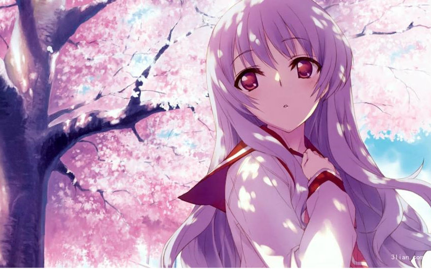 大型漫展二次元,2019漫展同人展