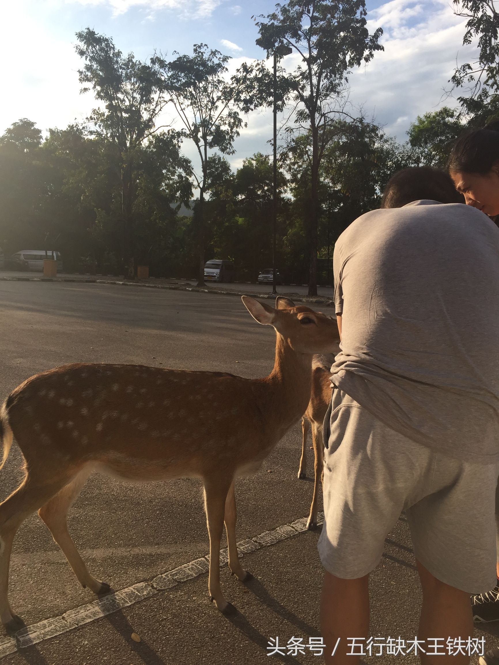 清迈夜景之双龙寺,清迈去双龙寺怎么去