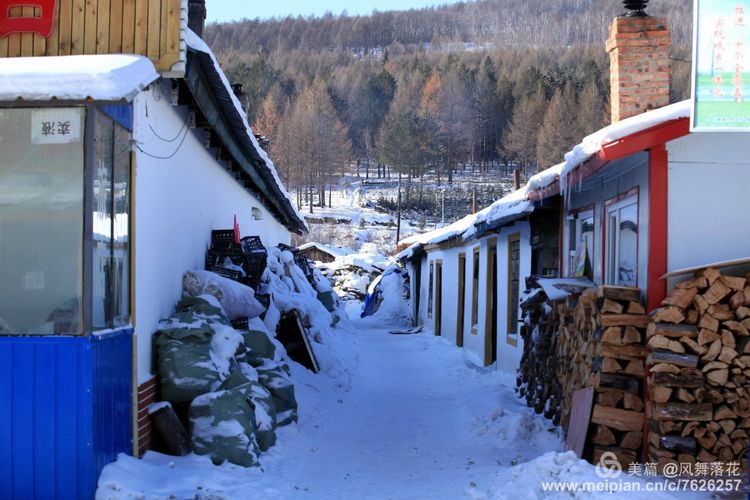 白狐千年等待只为今生相遇,白狼一生只爱一人
