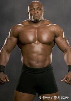 wwe布洛克莱斯纳vs送葬者2015,盘点wwe布洛克·莱斯纳的十大对手