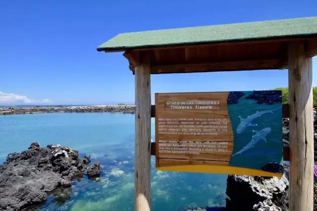 这才是旅行的样子，从亚洲至南美洲，他比我们多了点勇气和决心