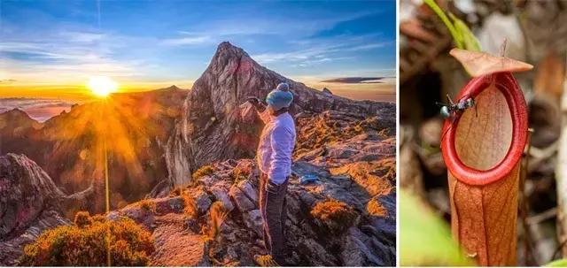 你为什么想去沙巴旅游,人生头一次到喀什