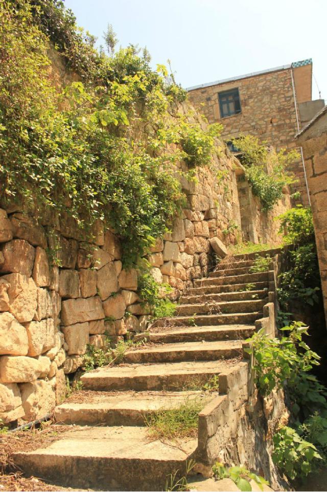 巴黎圣母院屹立在巴黎市中心,巴黎圣母院在巴黎哪里