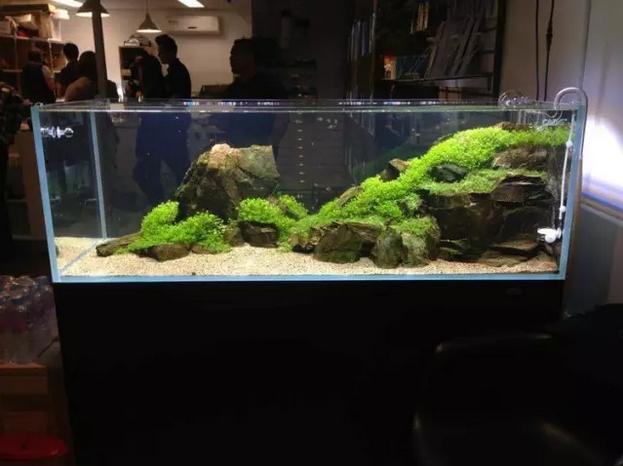 坏水质,草缸水质都要注意哪些