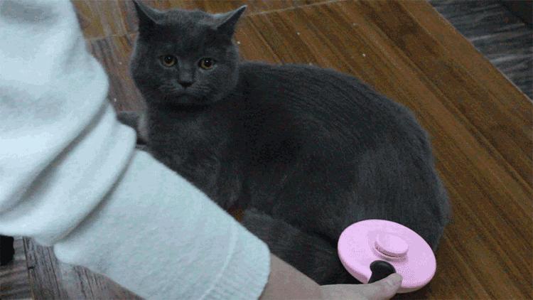 宠物除毛梳,宠物除毛神器哪个好用