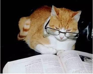 钢材销售员的一天，简直太形象了！笑喷……