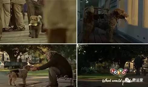 外国彩票中巨奖欧元,国外感人彩票广告