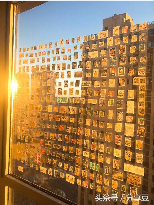 哪类东西你非收集不可？看了网友晒出的收集癖好，我惊呆了