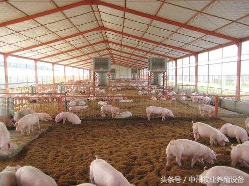 养殖场污粪的处理方法,养殖业污水怎么处理