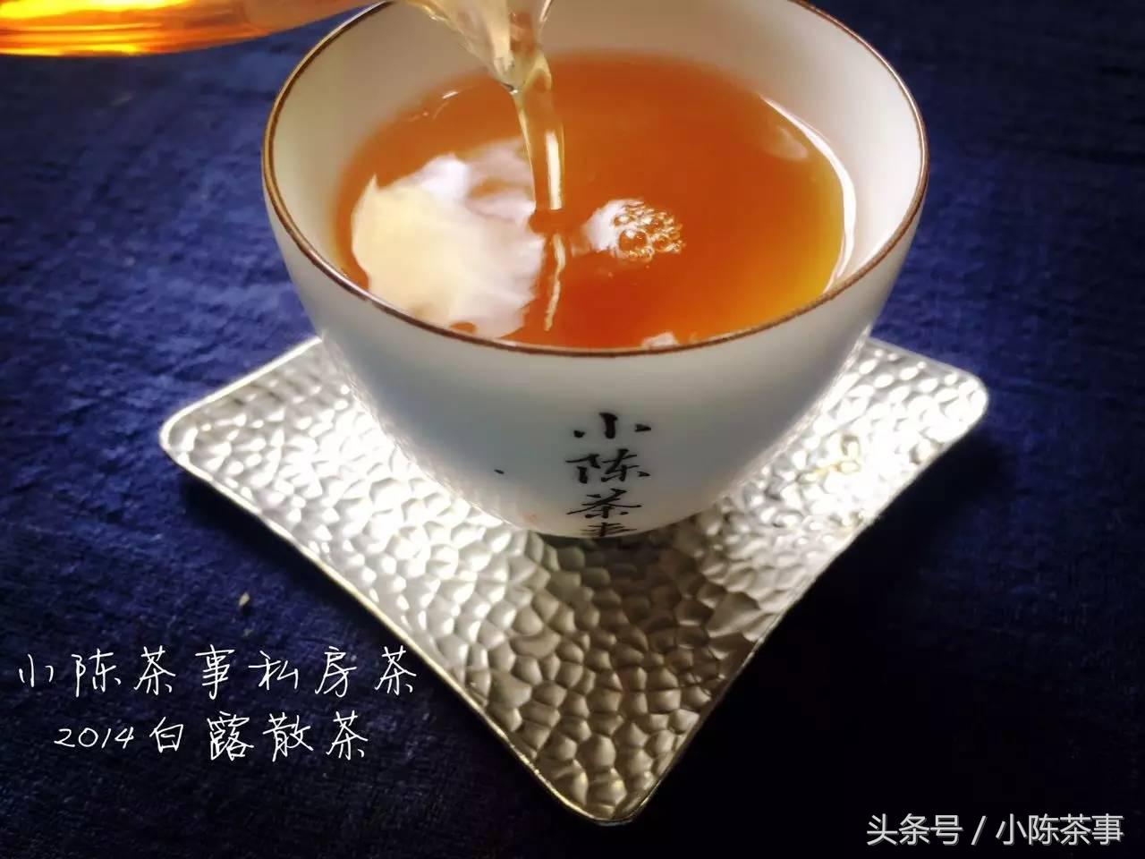 15年白露茶散茶,2019年的白露茶