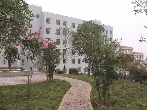 宜昌这个很多人骂了3年,却爱她一万年的地方!真的回不去了!